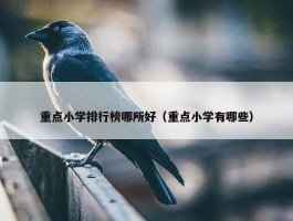 重点小学排行榜哪所好（重点小学有哪些）