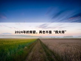 2024年的育碧，再也不是“我大哥”