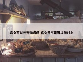 宫女可以养宠物吗吗 宫女是不是可以随时上