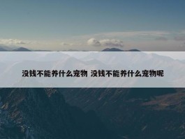 没钱不能养什么宠物 没钱不能养什么宠物呢