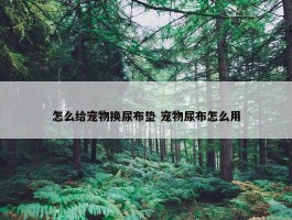 怎么给宠物换尿布垫 宠物尿布怎么用