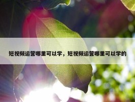 短视频运营哪里可以学，短视频运营哪里可以学的