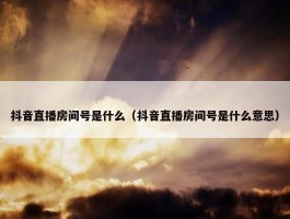 抖音直播房间号是什么（抖音直播房间号是什么意思）