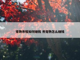 宠物养殖如何赚钱 养宠物怎么赚钱