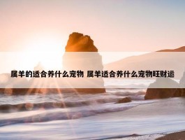 属羊的适合养什么宠物 属羊适合养什么宠物旺财运