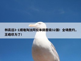 林高远3-1艰难淘汰阿拉米扬晋级32强！全场焦灼，王皓尽力了！