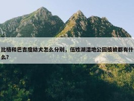 比格和巴吉度幼犬怎么分别，伍姓湖湿地公园植被都有什么？