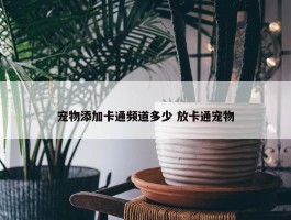 宠物添加卡通频道多少 放卡通宠物