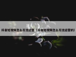 抖音短视频怎么引流运营（抖音短视频怎么引流运营的）