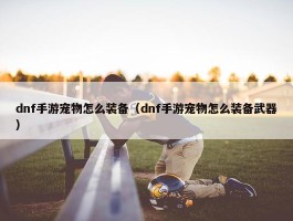 dnf手游宠物怎么装备（dnf手游宠物怎么装备武器）