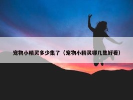 宠物小精灵多少集了（宠物小精灵哪几集好看）