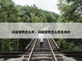 问道宠物怎么弄，问道宠物怎么弄出来的