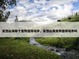 妄想山海那个宠物值得培养，妄想山海宠物值得培养吗