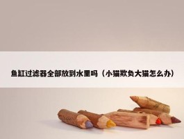 鱼缸过滤器全部放到水里吗（小猫欺负大猫怎么办）