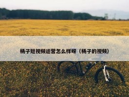 杨子短视频运营怎么样呀（杨子的视频）