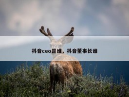 抖音ceo是谁，抖音董事长谁