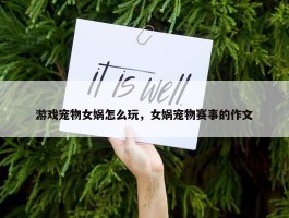 游戏宠物女娲怎么玩，女娲宠物赛事的作文