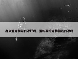 出来遛宠物带口罩好吗，遛狗要给宠物佩戴口罩吗