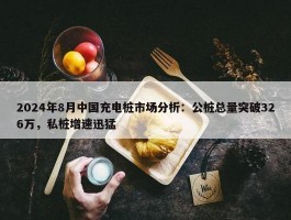 2024年8月中国充电桩市场分析：公桩总量突破326万，私桩增速迅猛