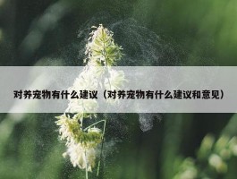 对养宠物有什么建议（对养宠物有什么建议和意见）