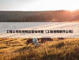 工程公司短视频运营如何做（工程视频制作公司）