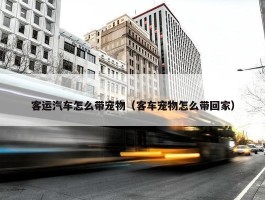 客运汽车怎么带宠物（客车宠物怎么带回家）