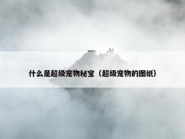 什么是超级宠物秘宝（超级宠物的图纸）