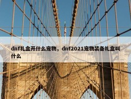 dnf礼盒开什么宠物，dnf2021宠物装备礼盒叫什么