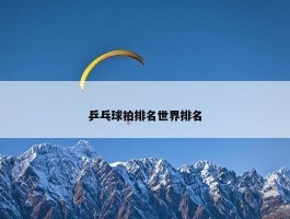 乒乓球拍排名世界排名