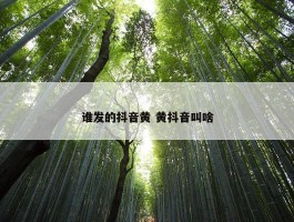 谁发的抖音黄 黄抖音叫啥