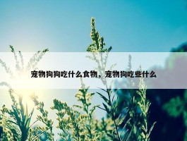 宠物狗狗吃什么食物，宠物狗吃些什么