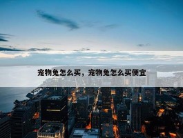 宠物兔怎么买，宠物兔怎么买便宜