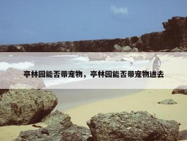 亭林园能否带宠物，亭林园能否带宠物进去