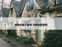 宠物大鹅下蛋吗 大鹅会孵蛋吗