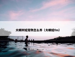 大眼树蛙宠物怎么养（大眼蛙fm）