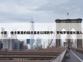 小雷：维卡里奥的弱点是定位球防守；罗梅罗很擅长踢人