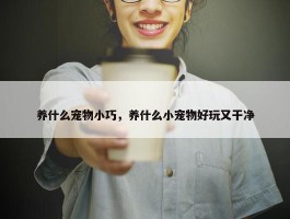 养什么宠物小巧，养什么小宠物好玩又干净