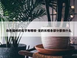 白色猫咪的名字有哪些-龙的长相各部分都像什么