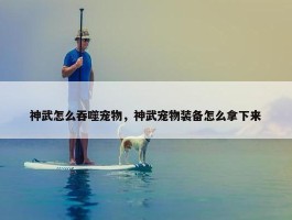 神武怎么吞噬宠物，神武宠物装备怎么拿下来