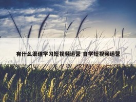 有什么渠道学习短视频运营 自学短视频运营