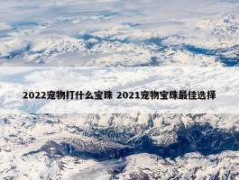 2022宠物打什么宝珠 2021宠物宝珠最佳选择