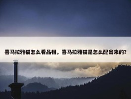 喜马拉雅猫怎么看品相，喜马拉雅猫是怎么配出来的？