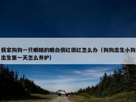 我家狗狗一只眼睛的眼白很红很红怎么办（狗狗出生小狗出生第一天怎么养护）