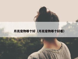 月亮宠物哪个好（月亮宠物哪个好看）