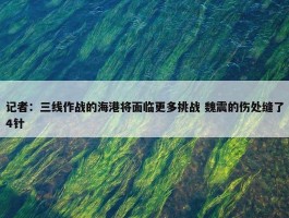 记者：三线作战的海港将面临更多挑战 魏震的伤处缝了4针