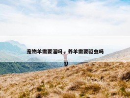 宠物羊需要溜吗，养羊需要驱虫吗