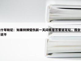 什琴斯尼：如果特狮受伤前一天问我是否重返足坛，我会说不