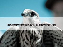 揭阳短视频代运营怎么样 短视频代运营招聘