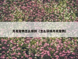 月亮宠物怎么得到（怎么获得月亮宠物）