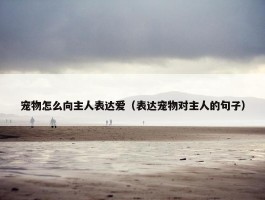 宠物怎么向主人表达爱（表达宠物对主人的句子）